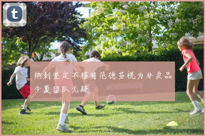 热刺坚定不移将范德芬视为非卖品今夏留队无疑